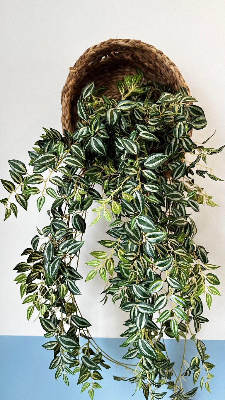 (204) Beira mar - Litorânea